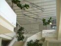 Aula 02