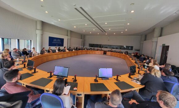 Gruppe im EGMR